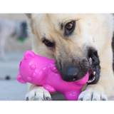 Ruff Dawg Gummy Bear Crunch Dog Toy, Assorted