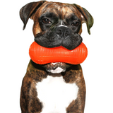 Ruff Dawg Weenut or Peanut Crunch Dog Toy, Assorted