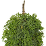 Vickerman Artificial Green Stovall Cedar Pine Teardrop