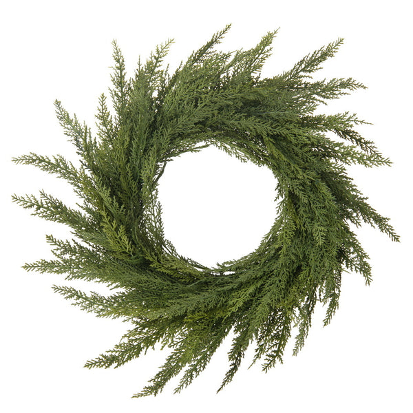 Vickerman Vickerman Green Cedar Wreath