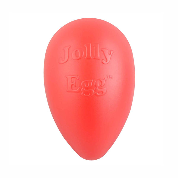 Jolly Pets Jolly Pets Jolly Egg Herding Ball for Dogs, 8"