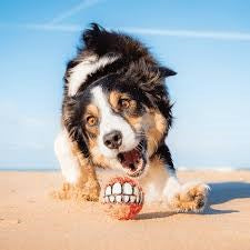 Rogz Fun Dog Treat Ball (3 Sizes Available)
