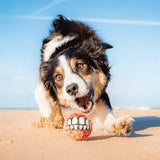 Rogz Fun Dog Treat Ball (3 Sizes Available)