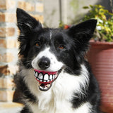 Rogz Fun Dog Treat Ball (3 Sizes Available)