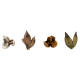 Vickerman 3"-4" Sora Pods, Dried, Assorted