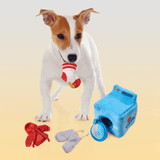 SPOT by Ethical Products Wash Day Puzzle Toy 6"