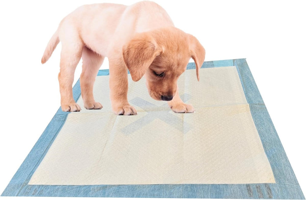 SPOT X Marks The Spot Extra Absorbent Puppy Potty Pads With Adhesive Strips