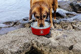 Lucky Dog Indulge Double Wall Stainless Steel Dog Bowl, Lifetime Warranty (Multiple Styles Available)