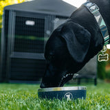 Lucky Dog Indulge Double Wall Stainless Steel Dog Bowl, Lifetime Warranty (Multiple Styles Available)