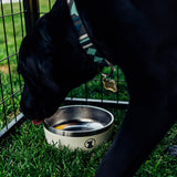 Lucky Dog Indulge Double Wall Stainless Steel Dog Bowl, Lifetime Warranty (Multiple Styles Available)