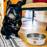 Lucky Dog Indulge Double Wall Stainless Steel Dog Bowl, Lifetime Warranty (Multiple Styles Available)