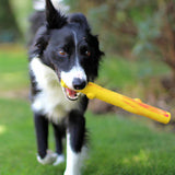 Ruff Dawg Twig or Stick Crunch Dog Toy, Assorted
