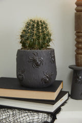 Scuttling Spiders Collection By Accent Decor