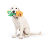 Huxley & Kent Seek 'n Treat Plush Dog Toy