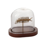 Specimen Cloche By Accent Decor