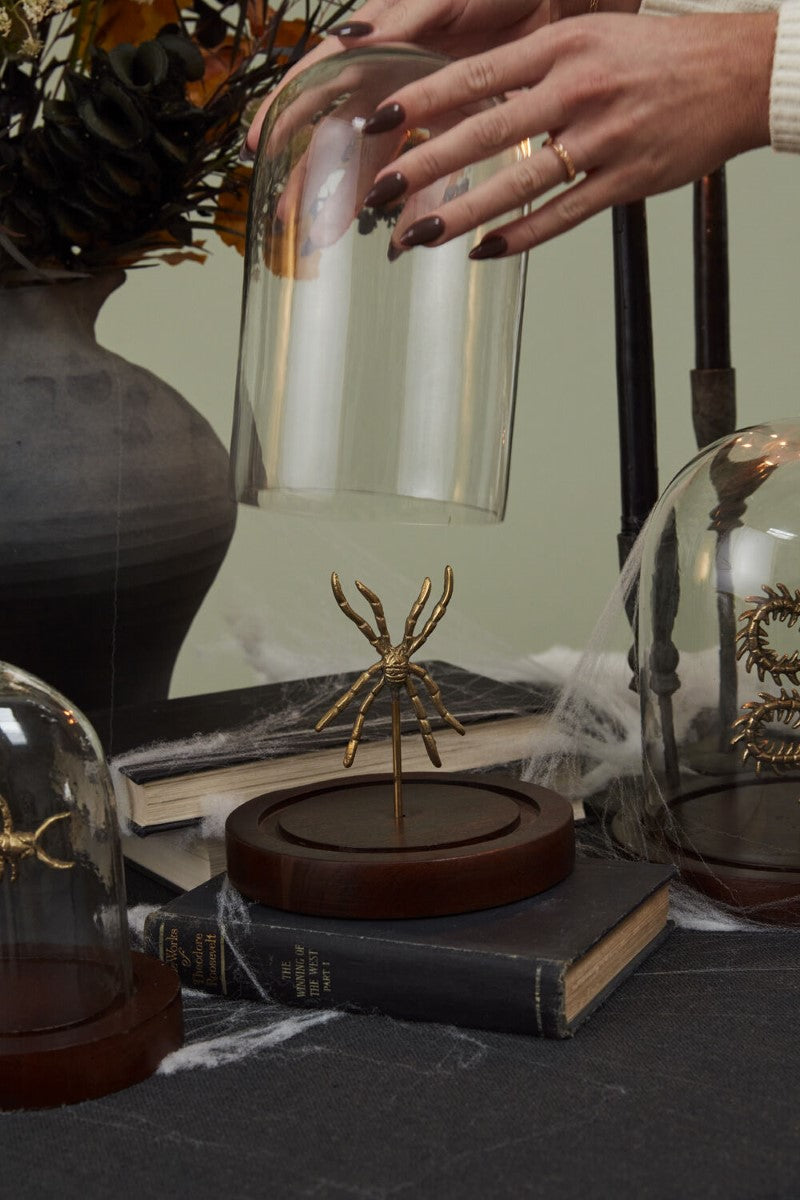 Specimen Cloche By Accent Decor