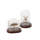 Specimen Cloche By Accent Decor
