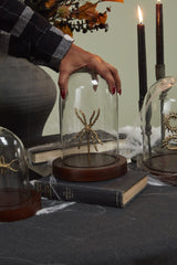 Specimen Cloche By Accent Decor