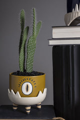 Spooky Claw Pots By Accent Decor