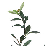 Vickerman Artificial Olive Tree