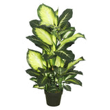 Vickerman 40" Artificial Green and White Dieffenbachia, 40"