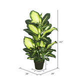 Vickerman 40" Artificial Green and White Dieffenbachia