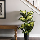 Vickerman 40" Artificial Green and White Dieffenbachia