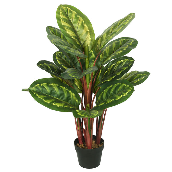 Vickerman Vickerman 3' Artificial Green and Brown Peacock Plant (Calathea)