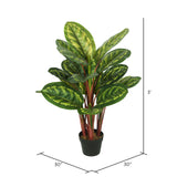 Vickerman 3' Artificial Green and Brown Peacock Plant botanical name Calathea