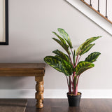 Vickerman 3' Artificial Green and Brown Peacock Plant botanical name Calathea