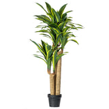 Vickerman 52" Artificial Potted Green and Yellow Fresh Touch Dracaena Tree, 52"