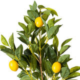 Vickerman Artificial Real Touch Fruit Tree