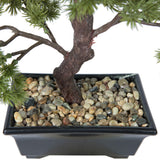 Vickerman Artificial Potted Pine Bonsai Tree