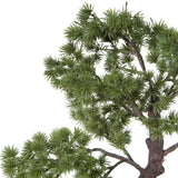 Vickerman Artificial Potted Pine Bonsai Tree