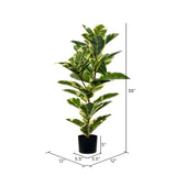 Vickerman Artificial Potted Real Touch Dieffenbachia