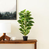 Vickerman Artificial Potted Real Touch Dieffenbachia