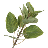 Vickerman Artificial Green Potted Cotinus Coggygria Tree