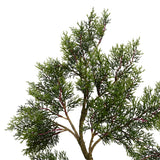Vickerman Artificial Potted Cedar Tree