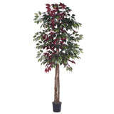 Vickerman Artificial Capensia Deluxe Potted Tree, 6'