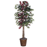 Vickerman Artificial Capensia Deluxe Potted Tree, 6'