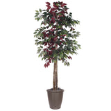 Vickerman Artificial Capensia Deluxe Potted Tree, 6'