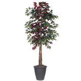 Vickerman Artificial Capensia Deluxe Potted Tree, 6'