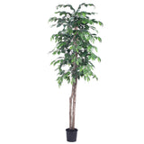 Vickerman Artificial 6' Ficus Potted Tree, 6'