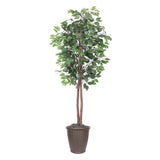 Vickerman Artificial 6' Ficus Potted Tree, 6'