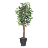 Vickerman Artificial 6' Ficus Potted Tree, 6'