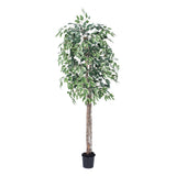 Vickerman 6' Artificial Variegated Ficus Tree, 6'