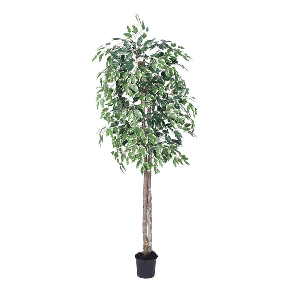 Vickerman Vickerman 6' Artificial Variegated Ficus Tree