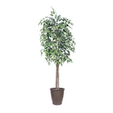 Vickerman 6' Artificial Variegated Ficus Tree, 6'