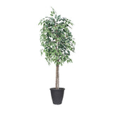 Vickerman 6' Artificial Variegated Ficus Tree, 6'