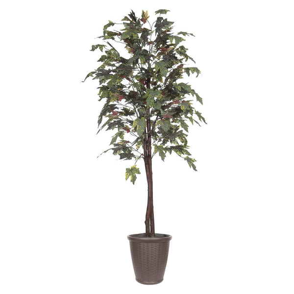 Vickerman Vickerman Artificial Frosted Maple Tree